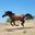 Heather Leer's profile image