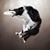 Lynn Van Matre's profile image