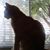 Heather Terry Holt's profile image