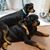 Tonya Galbreth's profile image