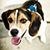 Jennifer Wise Stephens's profile image