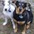 Sandra Soper's profile image