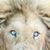 Matthew Sulser's profile image