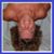 Anthony Robinson's profile image