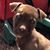 John Tickner's profile image