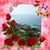 Gail Buckingham Carey's profile image