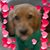 Roybal Venissa's profile image