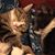 Donna Earley's profile image