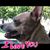 Wendy Leigh's profile image