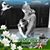 Elisabeth Mohr's profile image
