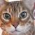 Laura Singleton's profile image
