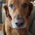 Lynn Mike Zinski's profile image