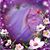 Wenche Skaret Andersen's profile image