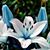 Paty Ann Leedy-Jones's profile image
