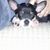 Kimberly Alger's profile image