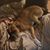 Dennis Wayne Smith's profile image