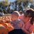 Liz Athey's profile image