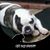 Juan Perez's profile image