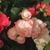 Renee Bosshart Sagmoe's profile image
