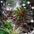 Marg Eilerman's profile image