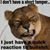 Leonor Blasquez's profile image
