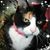 Rita A Fuller's profile image