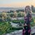 Frannie Mandell's profile image