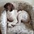 Judy Harling's profile image