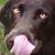 Gale Martiny's profile image