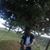 Tegene Heyiliye's profile image