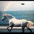 Lesley Baird-Boggan's profile image