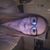 Heather Miles's profile image