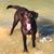 Geri J. Fox's profile image