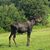 Aine O'Malley Pappas's profile image