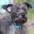 Beth Steele Gruenberg's profile image