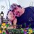 PaulaSue Detillier Folse's profile image
