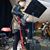 Daniel Almaguer's profile image