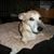 Evlin Lebreault's profile image