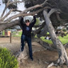 Ted C.'s profile image
