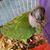 Sally Longpoke's profile image