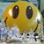 Lisa Campbell's profile image