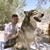 David Lewis's profile image
