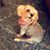 Beth Squyres's profile image