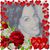 Elaine Reid's profile image