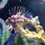 Toviah Prince's profile image
