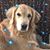 Tamara Baringer's profile image