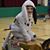 Patrick Sullivan's profile image