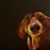 Mandy Howey's profile image