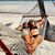 Bettina Bouvy's profile image