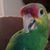 Anne Sloan's profile image